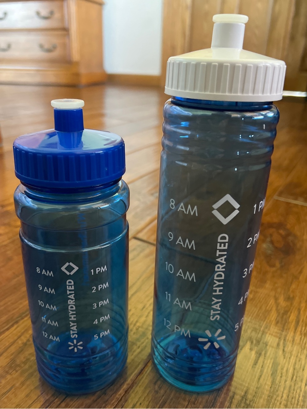 Stay Hydrated Time-Marker Water Bottle - Blue (2-Pack) NWOT